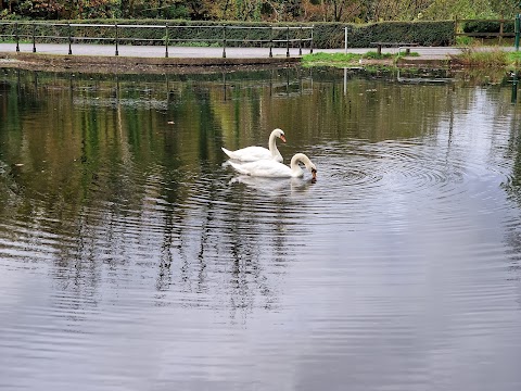 Gnoll Country Park