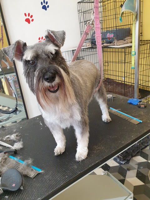 Snoopdogs grooming salon