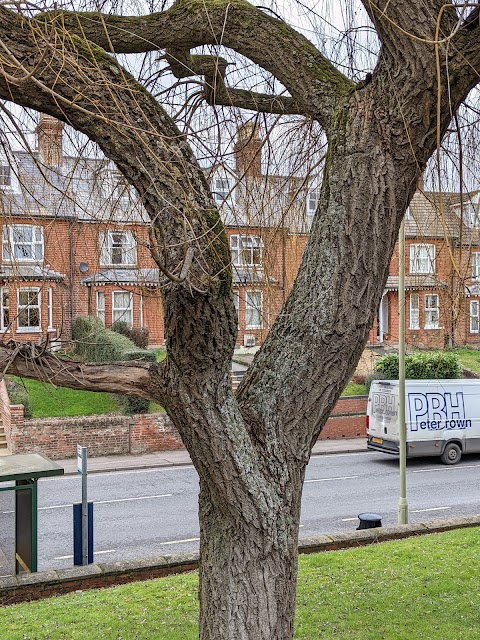 Basingstoke College of Technology (BCoT)