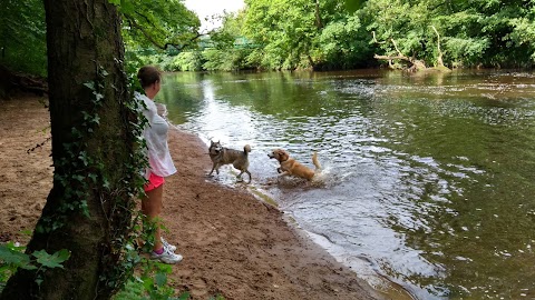 Gemma's Dog Boarding