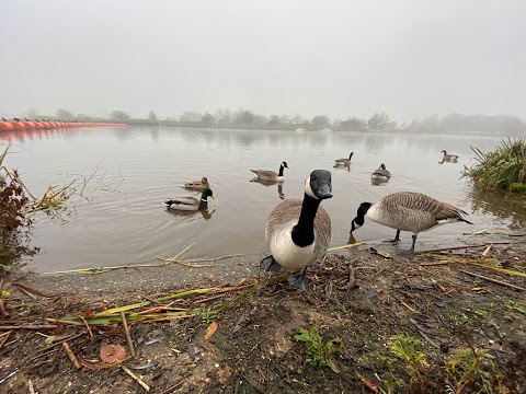 Colwick Marina