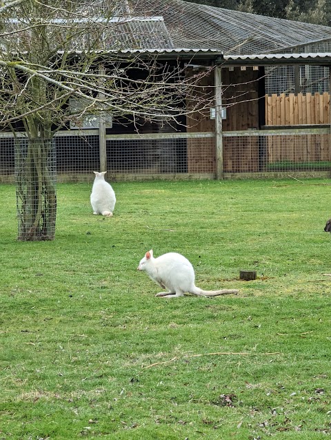 Hamerton Zoo Park