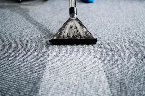 Trusted Carpet Cleaning