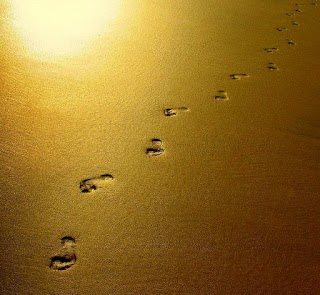 Footprints Counselling & Supervision