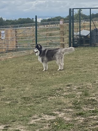 Everton dog run