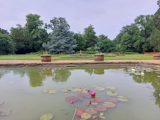 Pond (originally swimming pool)