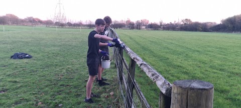 Local Labourers