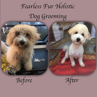 Fearless Fur Mobile Holistic Dog Grooming