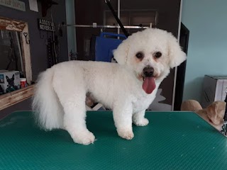 Woof and Ready Dog Grooming