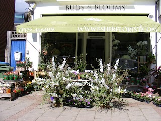 Buds & Blooms of Esher
