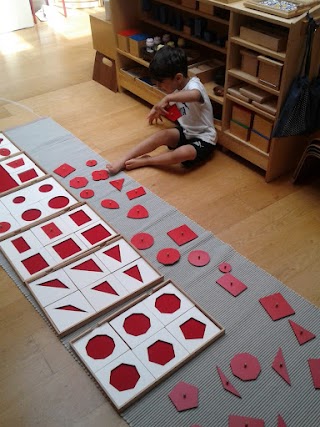 Step By Step Montessori