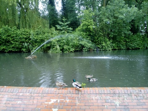 Trowbridge Park Pond