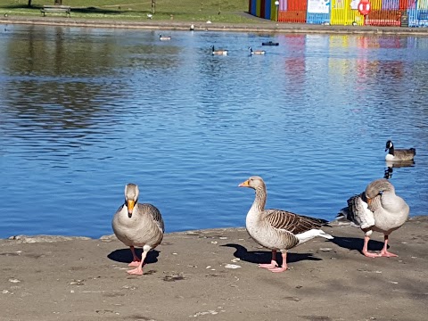 Aberdare Park