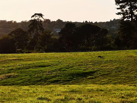 Sarisbury Green Community Centre