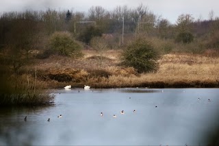 Lightshaw Meadows