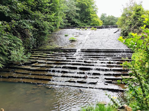 Forge Dam Park