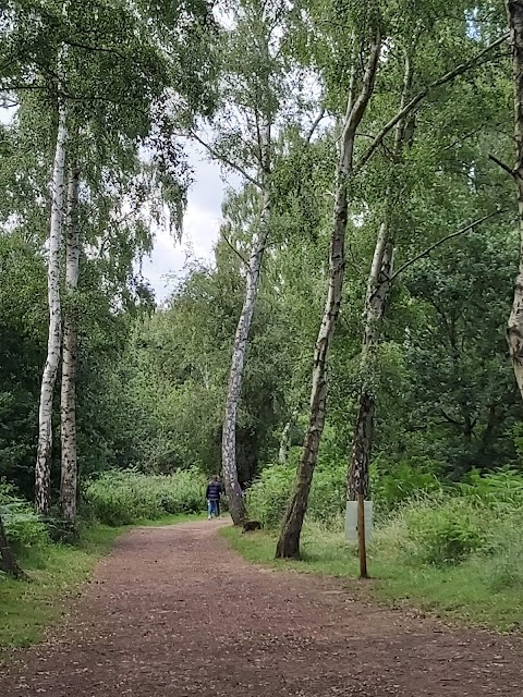 Sherwood Forest Fun Park