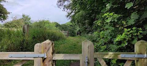 Gowy Meadows Nature Reserve