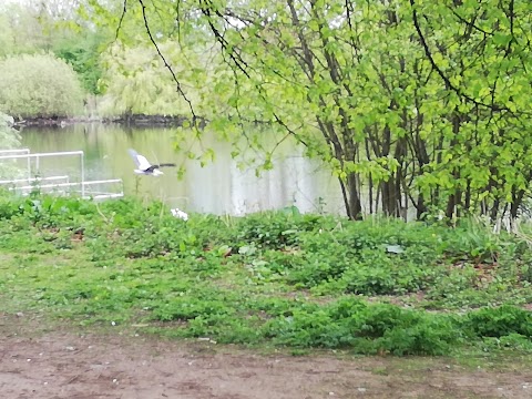 Hydes Road Pool