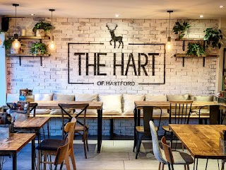 The Hart of Hartford