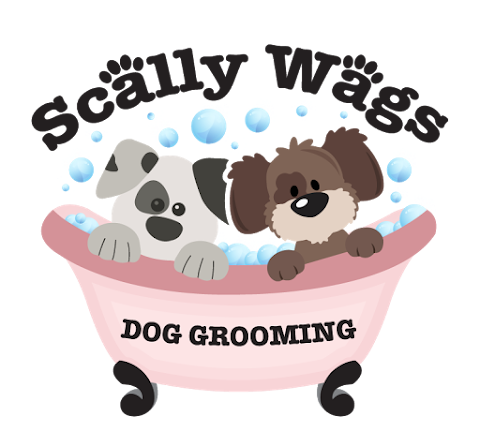 scally wags mobile dog grooming