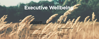 Executive Wellbeing Counselling