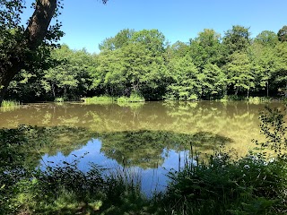 Stanmore Country Park, London