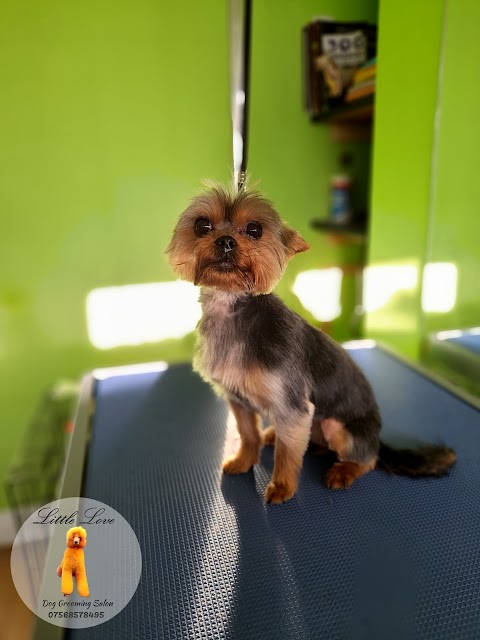 Little Love Dog Grooming