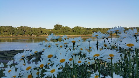 Riverside Paddock Touring Park