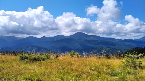 Сироварня "Полонина Закукул"