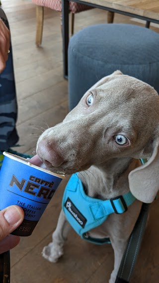 Caffè Nero