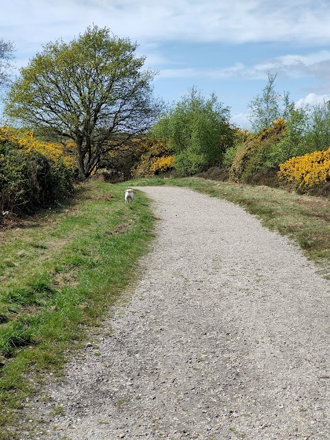 Alver Valley Country Park