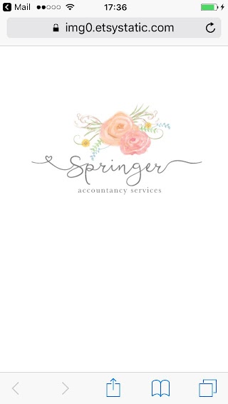 Springer Accountancy Services