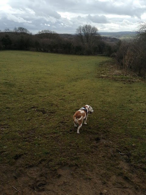 RSPCA Sheffield Animal Shelter