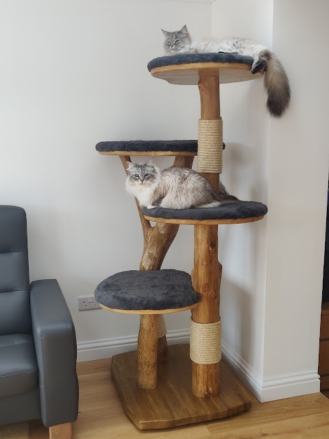 Woodside Cat Trees