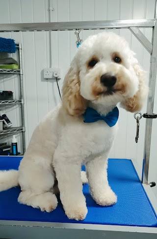 Wagz Dog Grooming