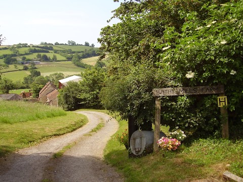 Withy Mills Farm