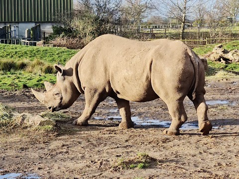 Chester Zoo