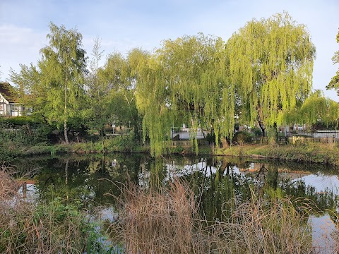 Ruislip Duck Pond