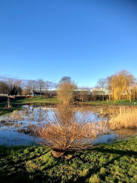 Selby Wildlife Pond