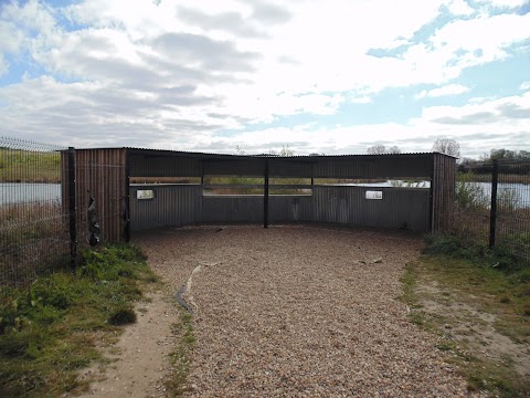 Beddington Farmlands