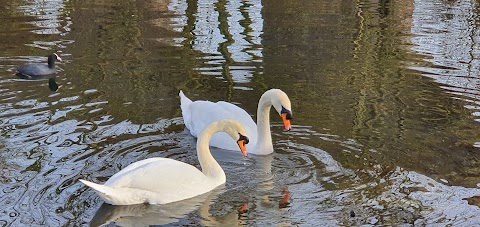 Reddish Vale Country Park Visitors Centre