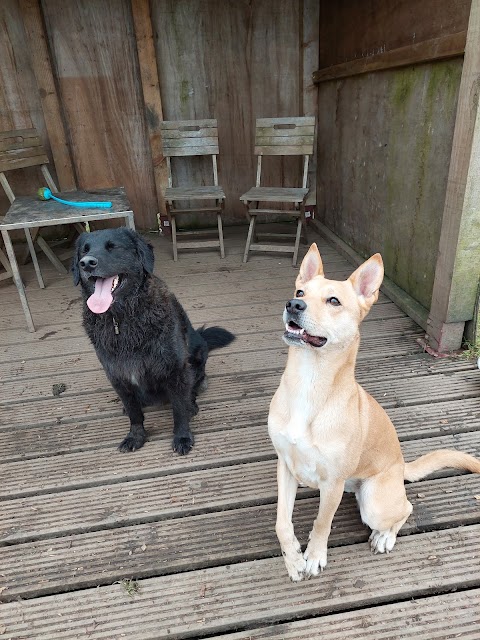 Cullingworth Pooches Playground