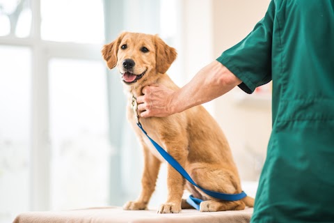 Oakham Veterinary Hospital