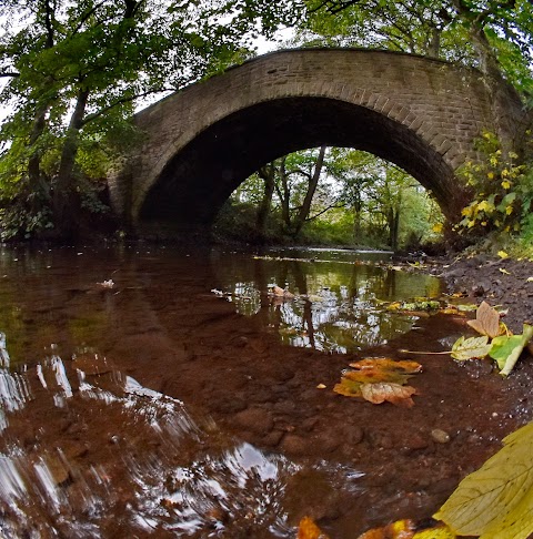 Watermeadows Park