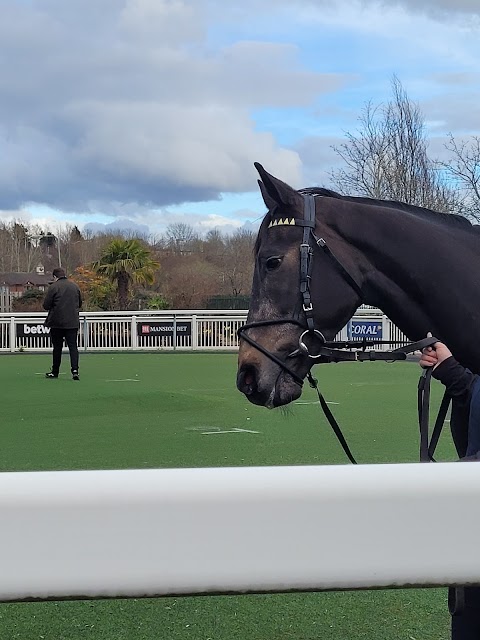 Wolverhampton Racecourse