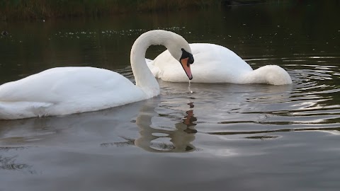 Painswick Park