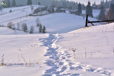 Відпочинок в Карпатах (Буковель)