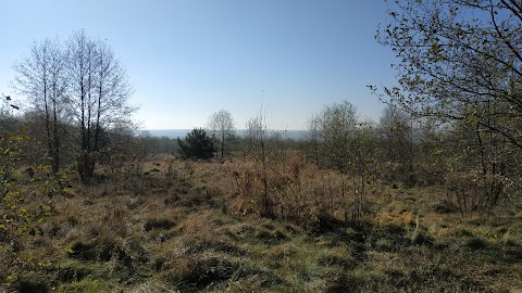 Стільське городище