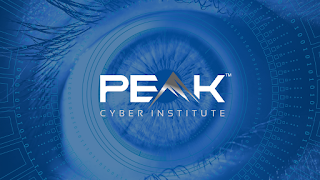 Peak Cyber Institute